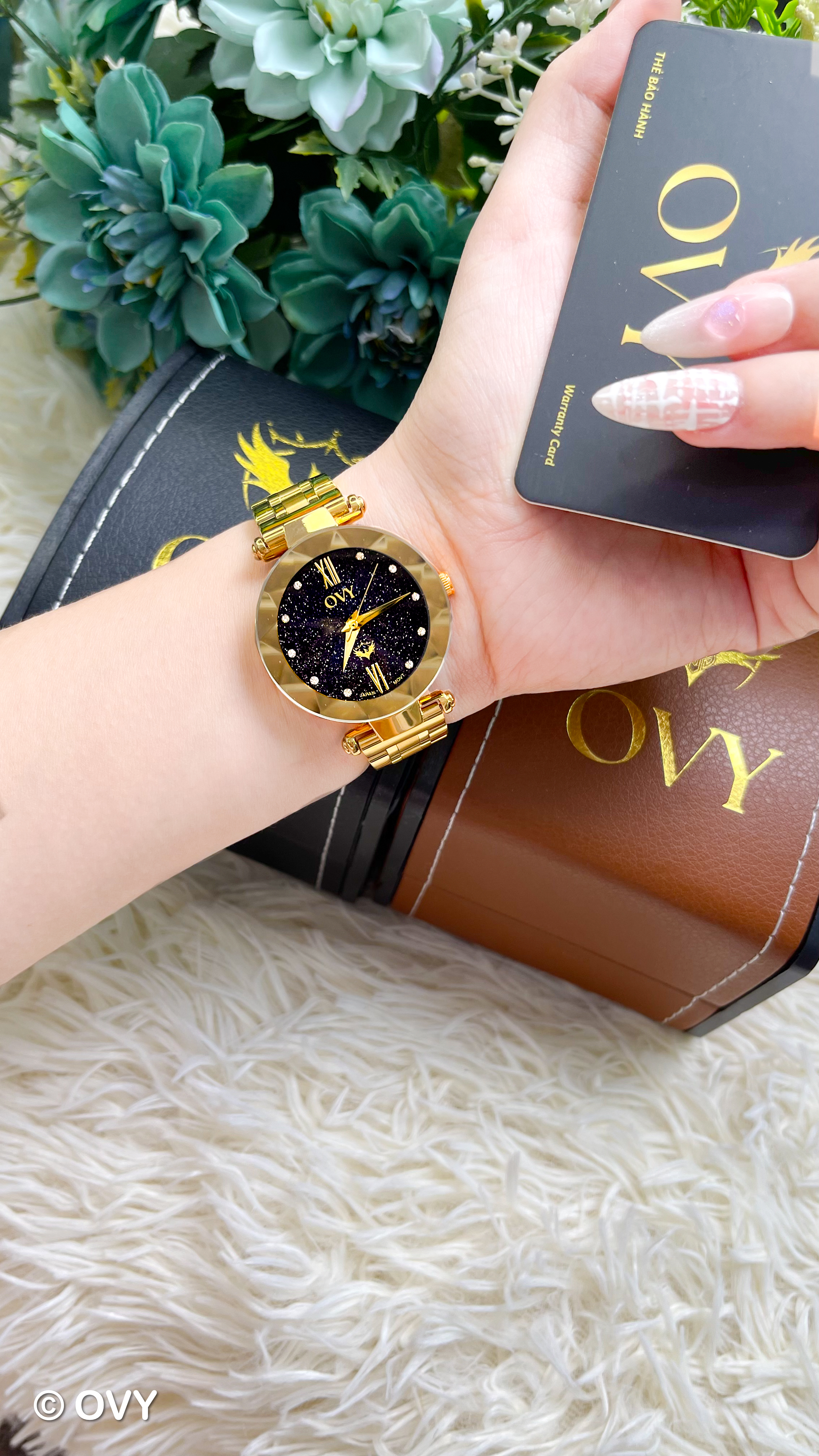 OVY-3538